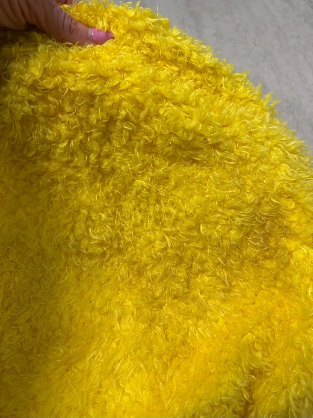 Princess Paradise baby chick